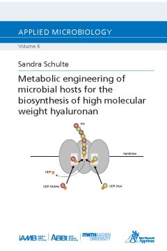 Metabolic engineering of microbial hosts for the biosynthesis of high molecular weight hyaluronan