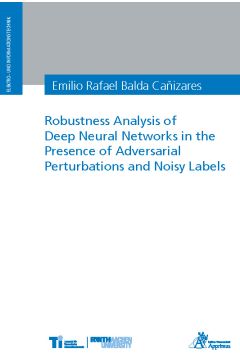 Robustness Analysis of Deep Neural Networks in the Presence of Adversarial Perturbations and Noisy Labels