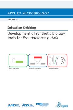 Development of synthetic biology tools for Pseudomonas putida