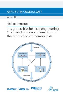 Integrated biochemical engineering: Strain and process engineering for the production of rhamnolipids