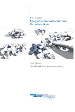 Exzellenzcluster „Integrative Produktionstechnik für Hochlohnländer“ Perspektiven interdisziplinärer Spitzenforschung