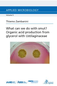 What can we do with smut? Organic acid production from glycerol with Ustilaginaceae