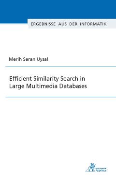 Efficient Similarity Search in Large Multimedia Databases