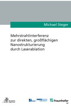 Mehrstrahlinterferenz zur direkten, großflächigen Nanostrukturierung durch Laserablation